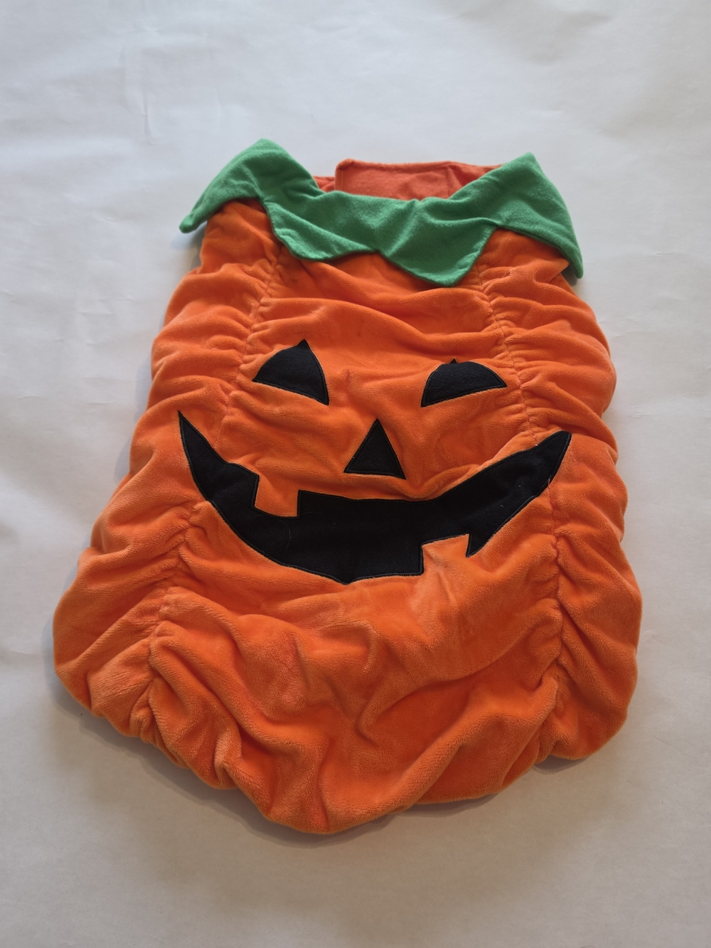 Target Orange Pumpkin Dog Costume with Green Leaf Collar